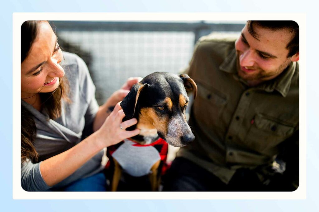 A couple smiling at a dog between them