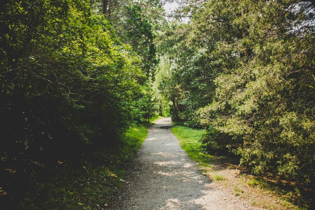 Boston engagement photo location at Arnold Arboretum